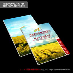 畫(huà)冊(cè)設(shè)計(jì)的多元領(lǐng)域應(yīng)用與核心要素
